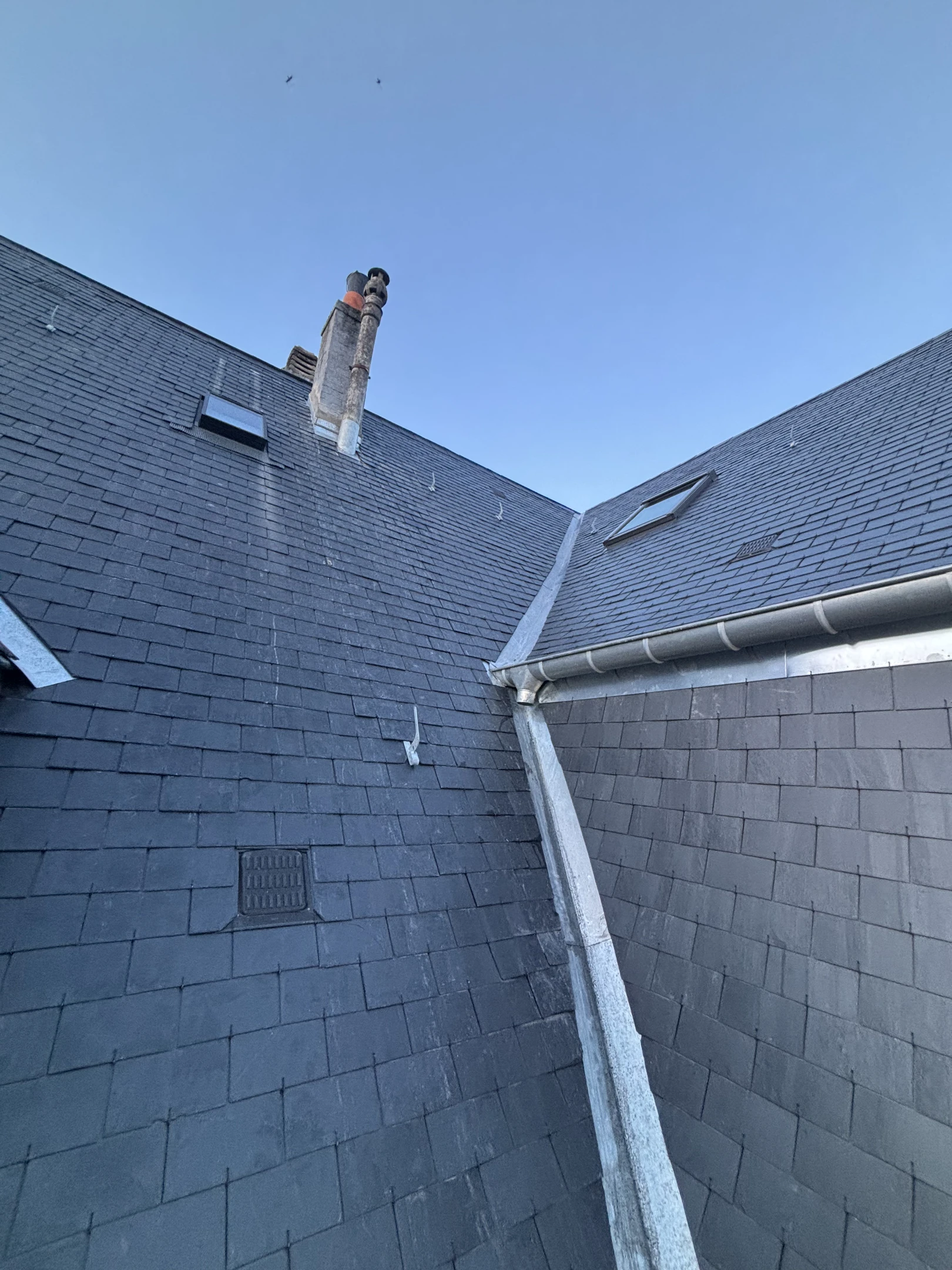 Gros plan sur une surface en bois naturel présentant des veines prononcées et des nœuds caractéristiques